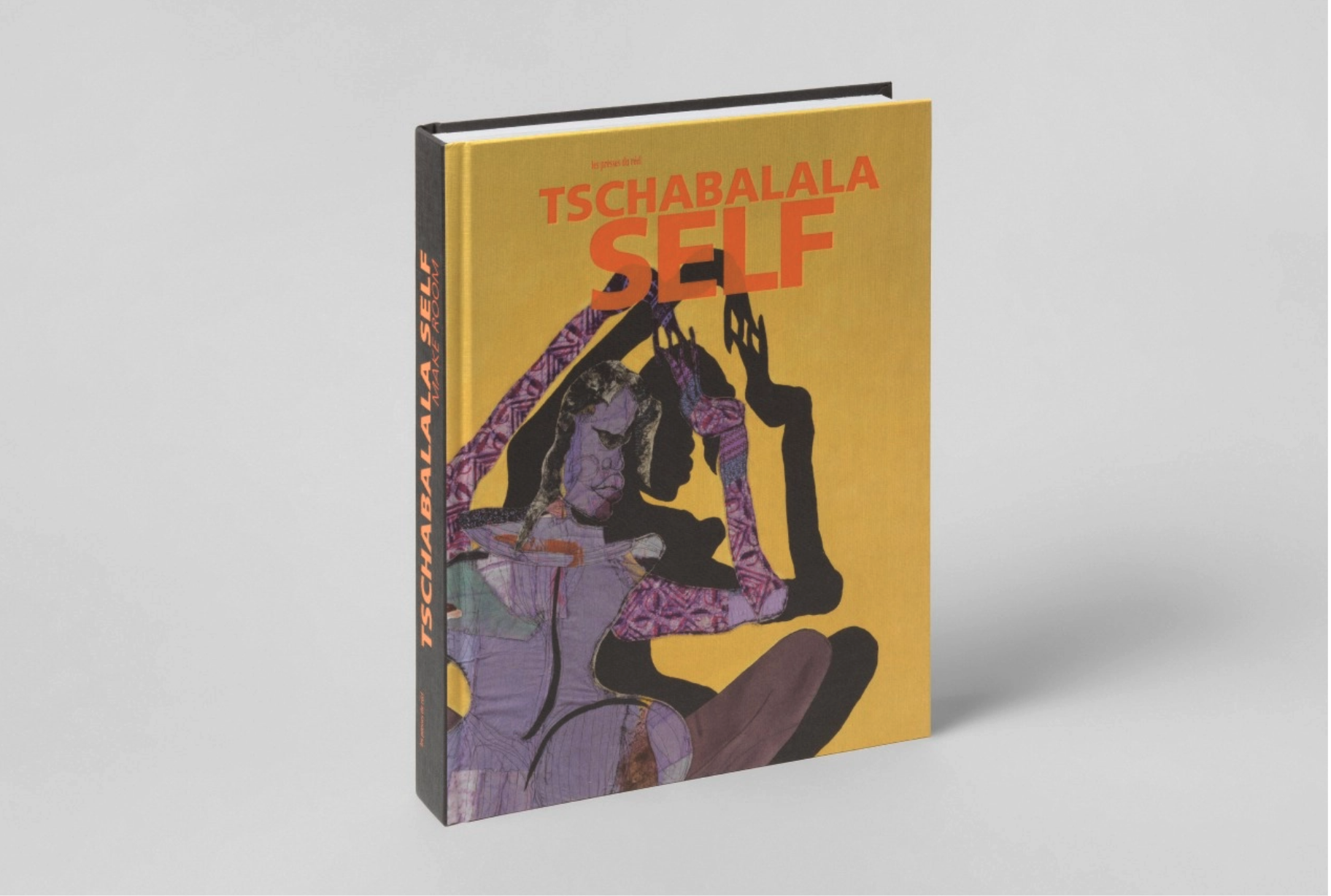 Tschabalala Book Self 2